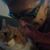 Tami Richards's profile image