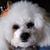 Diane Billik's profile image
