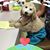 Diane Bricketto Pennea's profile image