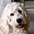 Sheldon Kabaker's profile image