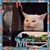 Sarah Houda's profile image