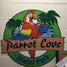 Parrot C.'s profile image