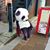 Dat Hoang's profile image