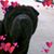 Donna Bassett Holt's profile image