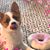 Theresa Mihalik Houthuysen's profile image