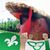 Luc Duguay's profile image