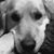 Crystal Phillips Wertz's profile image