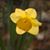 Judi Jankosky's profile image