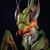 Austyn Chappell Roelfs's profile image
