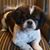 Patrick Dotson's profile image