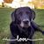 Sharon Berge's profile image