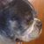 Mary Falcione's profile image