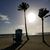 Tami Pitale's profile image