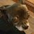 Debbra K. Gersmehl's profile image
