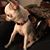 Pamela Hoffmaster's profile image