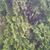 Arnold Williams's profile image