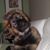 Denise Decker's profile image