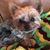 Mary Lou Preston's profile image