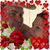 Roy Ritchey's profile image