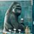 Wayne Monaghan's profile image