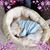 Sue Jacoby's profile image