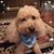 Sherry Smith's profile image