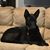Lisa Reeves Gonzales's profile image