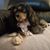 Kelly Rawnsley's profile image