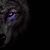 Dawn Michelle Erb's profile image