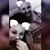 Danielle Sandlin-Herskovits's profile image