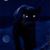 Lisa Hendricks's profile image