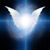 Chrissy Lucas's profile image
