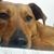 Natasha Rene'e's profile image