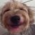 Julie Palombi's profile image