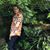 Zane Roppe's profile image