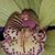 Maria Hernandez's profile image