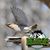 Randy N. Youngman's profile image