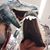 Ashly Peco Bush's profile image