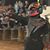 Austin Yarbrough's profile image
