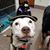 Kathy Genuardi's profile image