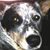 Robert Fedyski's profile image