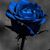 Nadia Arguello's profile image