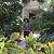 Doris Sayyadeth's profile image