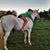 Kathleen Valletta's profile image