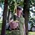 Samuel Schmitt's profile image
