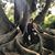 Jennilyn DeSisto's profile image