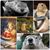 Kim McCooey's profile image