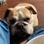 Richard Machacek's profile image