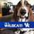 Debbie Willis's profile image