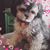 Joyce Stoker Terry's profile image